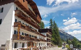Hotel Des Alpes